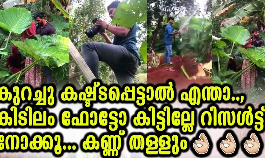 കുറച്ച് കഷ്ടപ്പെട്ടാലും ഗംഭീര റിസൾട്ട് നൽകിയ ഫോട്ടോഷൂട്ട്. ഒരു ഫോട്ടോയ്ക്ക് വേണ്ടി എന്തൊക്കെ അഭ്യാസങ്ങളാണ് കാണിക്കുന്നതെന്ന് നോക്കൂ.