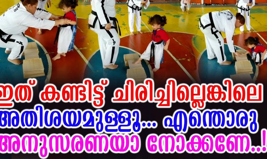 ഇതുപോലെ അനുസരണയുള്ള ഒരു ശിഷ്യനെ കിട്ടിയതാണ് ഗുരുവിന്റെ ഭാഗ്യം. അനുസരണയോടെ അവൻ ചെയ്ത കാര്യങ്ങൾ നോക്കൂ.