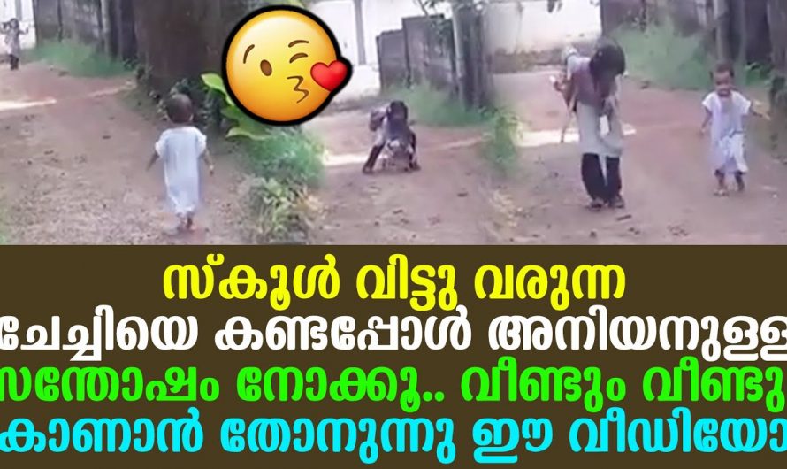 മരണം വരെ ഈ സ്നേഹം അതുപോലെ തന്നെ നിലനിൽക്കട്ടെ. ചേച്ചിയുടെയും അനിയത്തിയുടെയും സ്നേഹം കണ്ടോ.