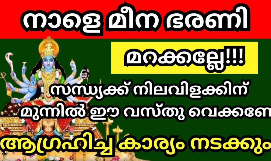 അതിവിശേഷ മീനഭരണി. ദേവി ക്ഷേത്രത്തിൽ പോയി മറക്കാതെ ചെയ്യേണ്ട വഴിപാട്.