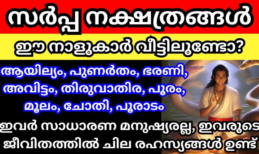 സർപ്പ നക്ഷത്രക്കാർ. ഈ നക്ഷത്രത്തിൽ പെട്ടവർ വീട്ടിലുണ്ടോ?എങ്കിൽ ഇവരെപ്പറ്റി അറിയാതെ പോകരുത്.