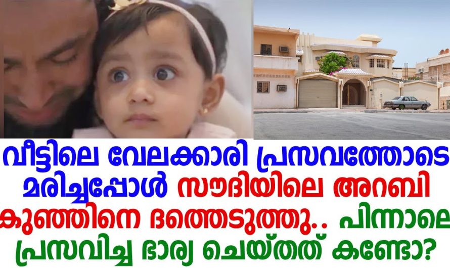 വീട്ടിലെ വേലക്കാരി പ്രസവത്തോടെ മരിച്ചു. കുഞ്ഞിനെ ഏറ്റെടുത്ത് അറബി കുടുംബം പിന്നീട് സംഭവിച്ചത് കണ്ടോ.