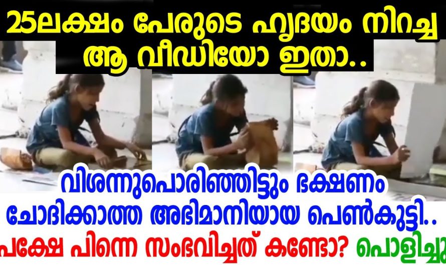 വിശപ്പിനേക്കാൾ വില ഈ ലോകത്ത് മറ്റൊന്നിനും തന്നെ ഇല്ല. വിശന്നിരിക്കുന്ന കുഞ്ഞിനെ ഭക്ഷണം നൽകിയ ചെറുപ്പക്കാരനെ കണ്ടോ.