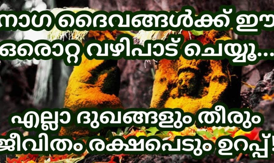 വർഷത്തിലൊരിക്കൽ നാഗ ദൈവങ്ങൾക്ക് ഈ ഒരു വഴിപാട് ചെയ്താൽ എല്ലാ ദോഷങ്ങളും ഉടനെ ഇല്ലാതാകും