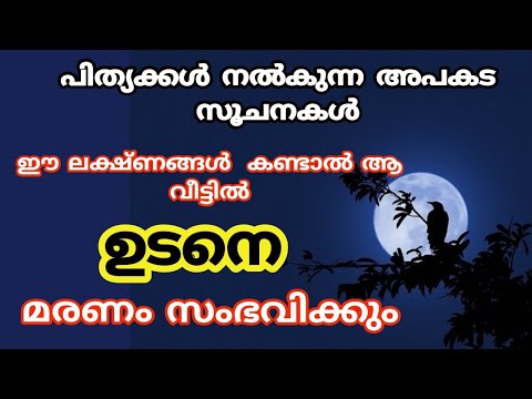 ജീവിതത്തിൽ കഷ്ടകാലം വരുന്നതിനു മുൻപ് പിതൃക്കൾ നൽകുന്ന പ്രധാന സൂചനകൾ ഇത് കാണാതെ പോകരുത്.