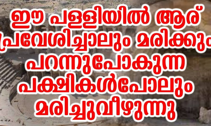 ലോകം തന്നെ ദുരൂഹതയിൽ ആഴ്ത്തിയ പള്ളി. ഈ പള്ളിയുടെ അരികിലൂടെ പോകുന്ന ഏതൊരു ജീവനും ഉടനെ ചത്തു വീഴും.