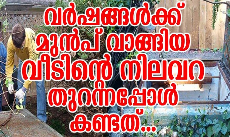 ഇതായിരുന്നു എന്റെ വീട്ടിൽ ഉണ്ടായിരുന്ന വലിയ നിധി!! വീട്ടിലെ നിലവറ തുറന്ന് കണ്ണ് തള്ളി വീട്ടുക്കാർ