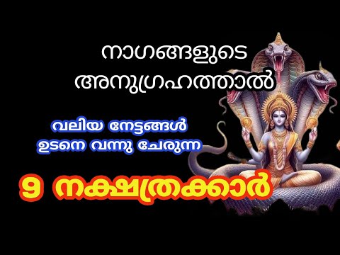 നാഗ ദൈവങ്ങളുടെ ദൃഷ്ടി പതിഞ്ഞാൽ മതി. എല്ലാ കഷ്ടതകളും അതോടെ അവസാനിച്ചു ഈ നക്ഷത്രക്കാർക്ക് ഇനി രാജയോഗം.