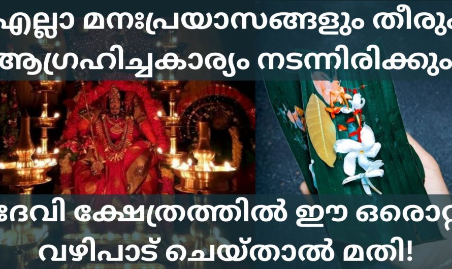 എല്ലാ മനപ്രയാസങ്ങളും മാറും. ആഗ്രഹിച്ച കാര്യം ഉടനെ നടന്നിരിക്കും ദേവീക്ഷേത്രത്തിൽ ഈ വഴിപാട് ചെയ്താൽ.