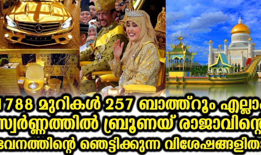 ഇതുപോലെ എല്ലാം സ്വർണ്ണം ഉപയോഗിച്ചാൽ സാധാരണക്കാരുടെ കാര്യം പിന്നെ പറയണോ. സ്വർണ്ണം കൊണ്ടുള്ള ഒരു വീട് നോക്കൂ.