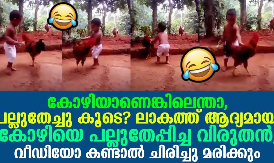 വെക്കേഷന് കുഞ്ഞിന്അ മ്മ കൊടുത്ത കിടിലൻ പണി. ഇപ്പോൾ കോഴിയെ പല്ല് തേപ്പിക്കാൻ നടക്കുകയാണ്.