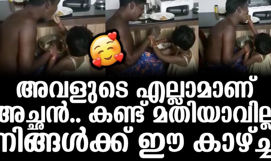 എത്ര കണ്ടാലും മതിയാകുന്നില്ല ഈ കാഴ്ച. അവളുടെ എല്ലാമെല്ലാമാണ് അച്ഛൻ. വൈറലായ അച്ഛനും മകളും ഇതാ.