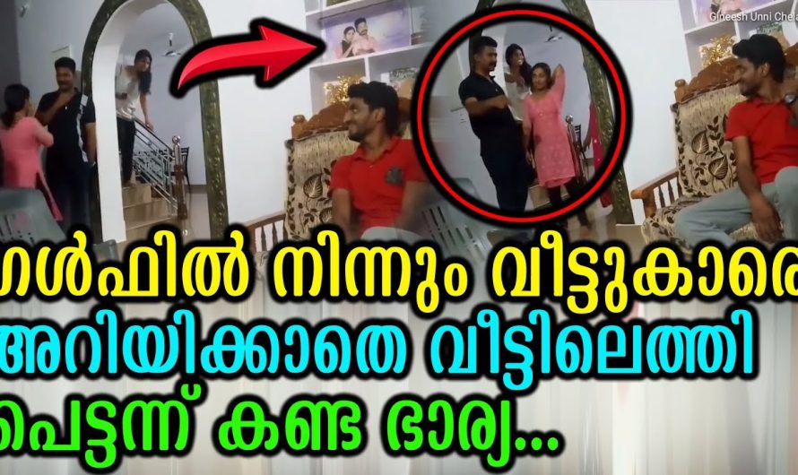 ഒന്നും പറയാതെ ഗൾഫിൽ നിന്നും വീട്ടുകാരെ ഞെട്ടിക്കാൻ എത്തിയ പ്രവാസി. ഭർത്താവിനെ കണ്ടപ്പോൾ ഭാര്യ ചെയ്തത് കണ്ടോ.