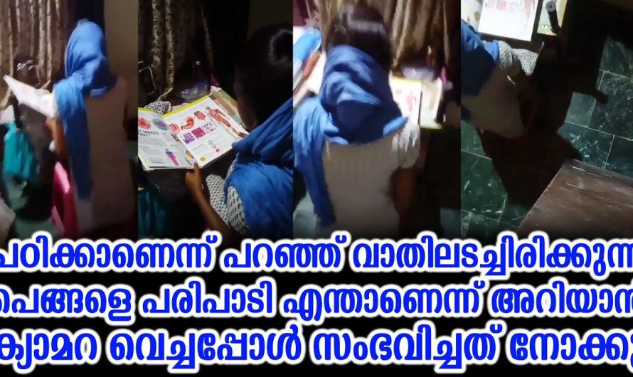 പഠിക്കുകയാണെന്ന് പറഞ്ഞ് അമ്മയെ പറ്റിച്ച ചേച്ചിക്ക് അനിയൻ കൊടുത്ത എട്ടിന്റെ പണി കണ്ടോ.