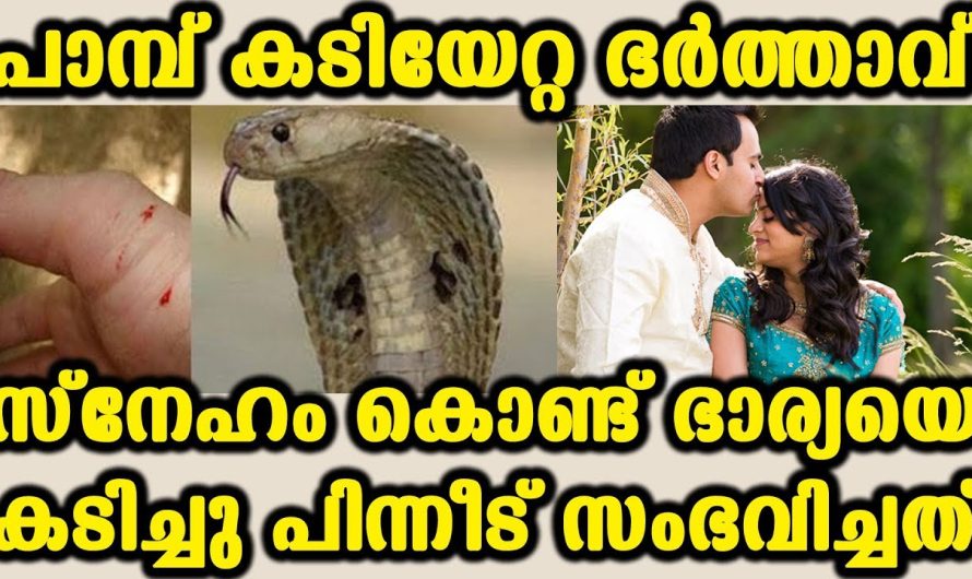 അമിതമായാൽ അമൃതും വിഷം എന്ന് കേട്ടിട്ടില്ലേ. ഭാര്യയോടുള്ള സ്നേഹം കൊണ്ട് ഭർത്താവ് ഭാര്യയെ കൊല്ലാൻ ശ്രമിച്ചു.