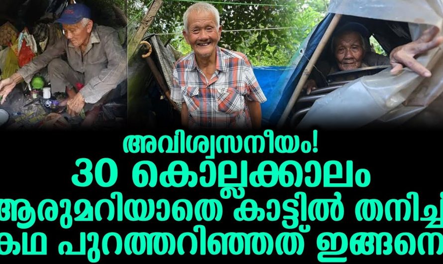 ആരുമറിയാതെ കാട്ടിൽ തനിച്ച് 30 വർഷങ്ങൾ പൂർത്തിയാക്കി വൃദ്ധൻ. ഇദ്ദേഹത്തിന്റെ കഥ കേട്ടാൽ നിങ്ങൾ ഞെട്ടും.