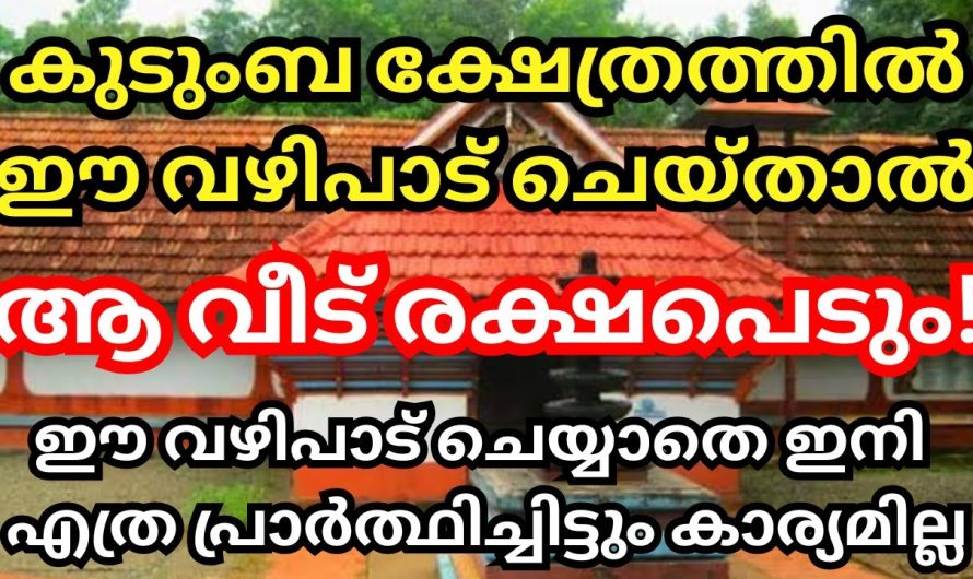 ആഗ്രഹിച്ച കാര്യങ്ങൾ ഒന്നും തന്നെ നടക്കുന്നില്ലേ? കുടുംബ ക്ഷേത്രത്തിലെ ദോഷമായിരിക്കും പരിഹാരം ഇതാ.