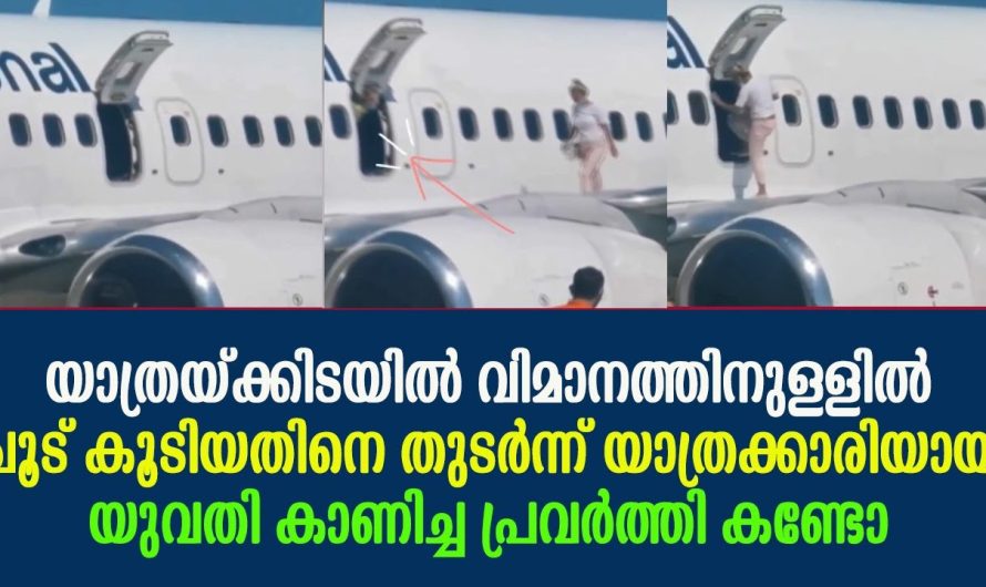 വിമാനത്തിനകത്ത് ചൂടായതുകൊണ്ട് കാറ്റുകൊള്ളാൻ പുറത്തിറങ്ങിയ യുവതി. കാറ്റു പോവാത്തത് ഭാഗ്യം.