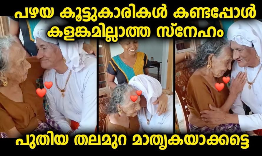 തന്റെ പഴയ ഒറ്റ സുഹൃത്തുക്കളെ വർഷങ്ങൾക്ക് ശേഷം കണ്ടപ്പോൾ ഉള്ള അമ്മൂമ്മയുടെസന്തോഷം കണ്ടോ? ആരുടെയും കണ്ണ് നിറഞ്ഞു പോകും.