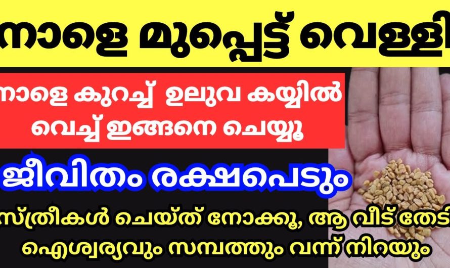 നാളെ മുപ്പെട്ട് വെള്ളി. ഉലുവ കയ്യിൽ പിടിച്ച് സ്ത്രീകൾ ഇതുപോലെ ചെയ്യൂ. ഐശ്വര്യവും സമ്പത്തും വർദ്ധിക്കും.