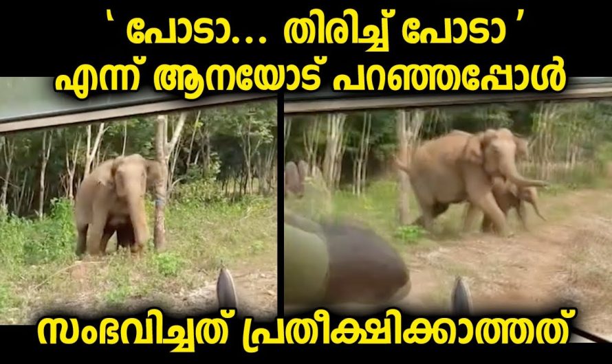 പറഞ്ഞാൽ അനുസരിക്കും എന്ന് കരുതിയ ഓഫീസർ ഞെട്ടി. ഇതുപോലെ ഒരു പ്രതികരണം ആരും പ്രതീക്ഷിച്ചില്ല.