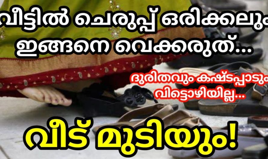 വാസ്തുശാസ്ത്രപ്രകാരം വീട്ടിൽ ചെരുപ്പ് വയ്ക്കേണ്ട സ്ഥാനം ഇതാണ്. ഉടനെ ഇതുപോലെ ചെയ്യൂ