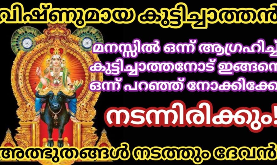 വിഷ്ണുമായ സ്വാമിയെ ഇതുപോലെ പ്രാർത്ഥിച്ചാൽ നടക്കാത്തതായി ഒന്നുമില്ല. ഈ വഴിപാട് ഉടനെ ചെയ്യൂ.