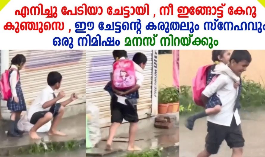 ഇതുപോലെ ഒരു ചേട്ടനെ കിട്ടിയത് ഭാഗ്യം. മഴയത്ത് സ്കൂളിലേക്ക് യൂണിഫോം നനയാതെ അനിയത്തിയെ കൊണ്ടുപോകാൻ ചേട്ടൻ ചെയ്തത് നോക്കൂ.