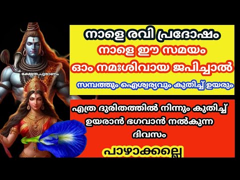 നാളെ രവിപ്രദോഷം.എല്ലാ ദുരിതങ്ങളിൽ നിന്നും കുതിച്ചുയരാൻ ഭഗവാന്റെ ഈ മന്ത്രം പ്രാർത്ഥിച്ചാൽ മതി.